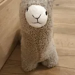 Orlinskiego