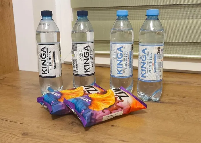 Orlinskiego 아파트 크라쿠프